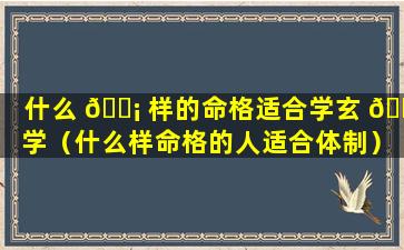 什么 🐡 样的命格适合学玄 🕊 学（什么样命格的人适合体制）